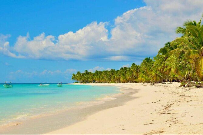 Saona Island Adventure: Natural Pool & All-Inclusive Drinks - Who Should Consider This Tour?