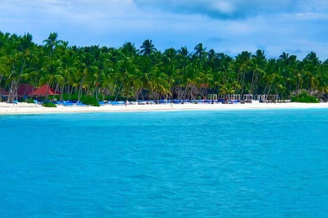 Saona Island Adventure - Why This Tour Offers Good Value