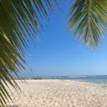 Saona Island and Chavon River Tour with Lunch and Drinks - Final Thoughts