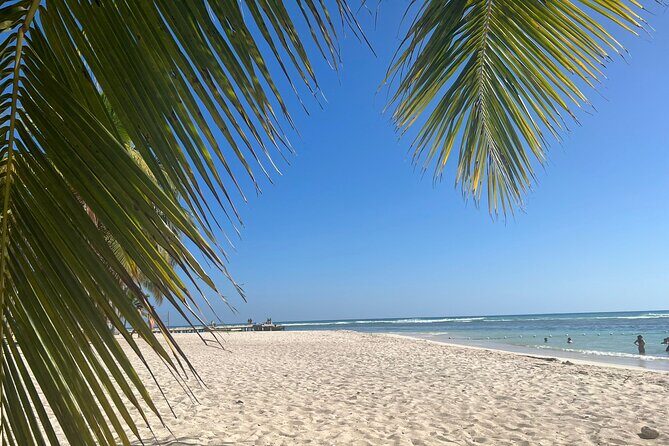 Saona Island and Chavon River Tour with Lunch and Drinks