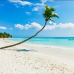 Saona Island Catamaran Cruise with Buffet - A Deep Dive into the Saona Island Catamaran Experience