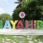 Saona Island Catamaran Tour Buffet & Open Bar from Punta Cana - What Travelers Have Said