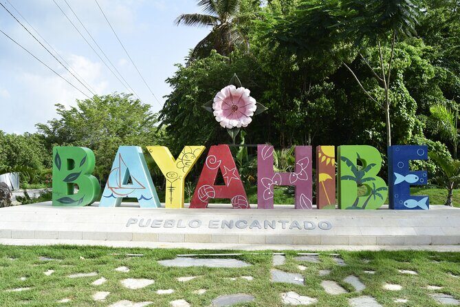 Saona Island Catamaran Tour Buffet & Open Bar from Punta Cana - What Travelers Have Said