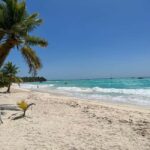 Saona Island & Chavon River Tour with Lunch & Drinks - Who Will Love This Tour?