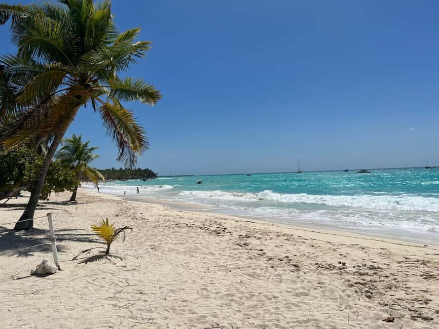 Saona Island & Chavon River Tour with Lunch & Drinks - Who Will Love This Tour?