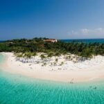 Saona Island Cruise & Private Beach - A Detailed Look at the Saona Island Experience