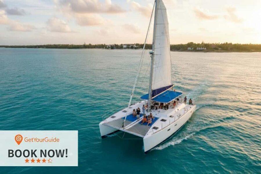 Saona Island Day Tour from Punta Cana with Lunch & Open Bar - The Value of This Tour