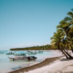 Saona Island Day Trip From Punta Cana with Pick Up and Open Bar - Analyzing the Value