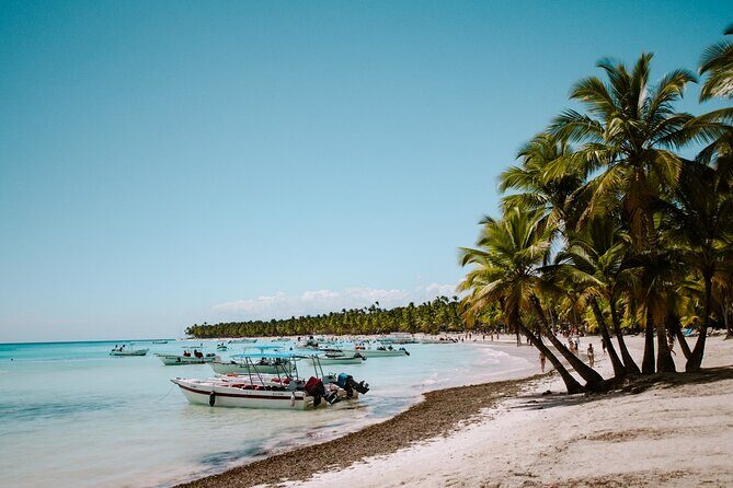 Saona Island Day Trip From Punta Cana with Pick Up and Open Bar - Analyzing the Value