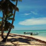 Saona Island Day Trip + Lobsters Included - Practical Details & What to Expect