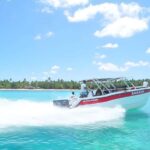 Saona Island Day Trip + Lunch + Open Bar from Punta Cana - The Sum Up
