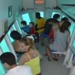 Saona Island Day Trip with Lunch and Open Bar at Punta Cana - Authenticity and Value