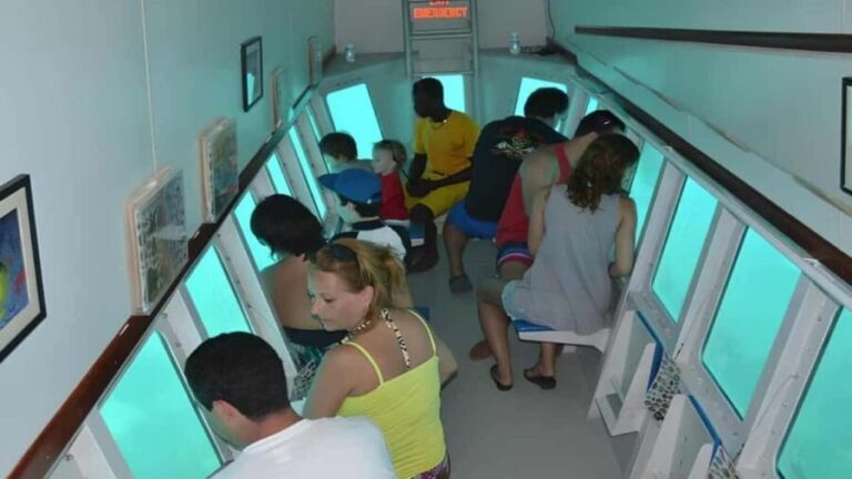 Saona Island Day Trip with Lunch and Open Bar at Punta Cana - Authenticity and Value