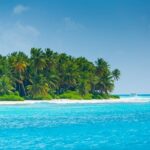 Saona Island Escape Caribbean Paradise Awaits - Authentic Experiences and Practical Tips