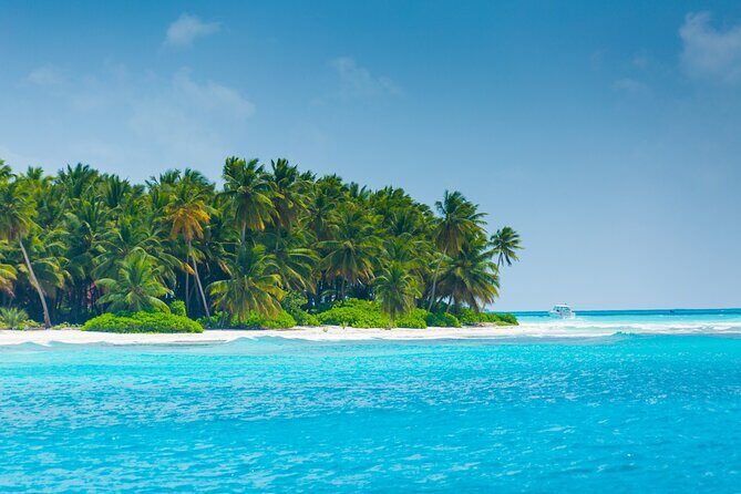 Saona Island Escape Caribbean Paradise Awaits - Authentic Experiences and Practical Tips