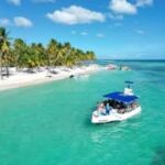 Saona Island: Exclusive Tour with Lunch - Practical Details and What to Expect