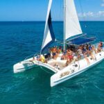 Saona Island: Full-Day Boat Tour All Inclusive - The Value of the Tour