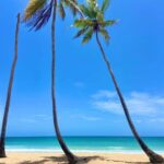 Saona Island Full-Day Cruise, Natural Pool and Lunch - The Natural Pool: A Must-See Stop