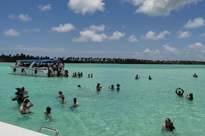 Saona Island Full Day From Punta Cana - Transportation and Group Dynamics