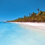 Saona Island Full-Day Tour from Boca Chica - Frequently Asked Questions