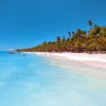Saona Island full day tour from Las Terrenas - Who Should Consider This Tour?