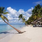 Saona Island Full-Day Tour from Las Terrenas with Lunch - In-Depth Look at the Saona Island Tour