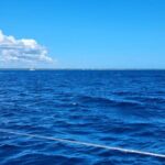 Saona Island Full-Day Tour from Punta Cana Bayahibe All Inclusive - Practical Considerations and Value