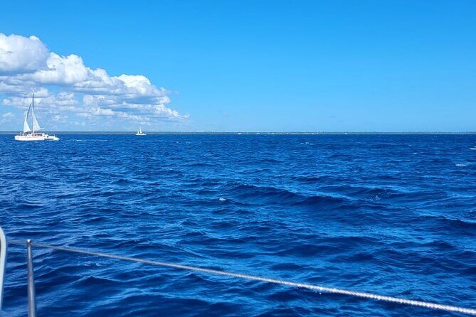 Saona Island Full-Day Tour from Punta Cana Bayahibe All Inclusive - Practical Considerations and Value