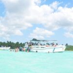 Saona Island Full-Day Tour from Santo Domingo - Frequently Asked Questions