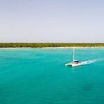 Saona Island Full-Day Tour with Lunch from Punta Cana - Authentic Feedback—What Tourists Are Saying