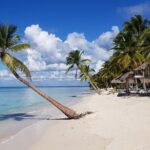 Saona Island Package with Roundtrip Transportation from Airport and Hotels - The Value of This Tour
