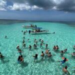 Saona Island Premium Discovery Tour from Punta Cana or Bayahíbe - A Deep Dive into the Saona Island Experience