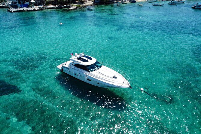 Saona Island Private Yacht Tour - What to Expect and Practical Tips