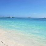 Saona Island: Relaxation Day Trip with Open Bar - Final Words: Is This Tour for You?