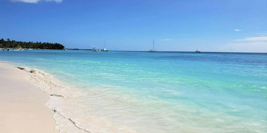 Saona Island: Relaxation Day Trip with Open Bar - Final Words: Is This Tour for You?
