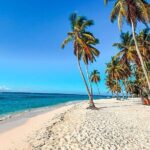 SAONA ISLAND - Rhythm, Rum & Radiant Beaches - PUNTA CANA - The Itinerary in Detail: What You Can Expect