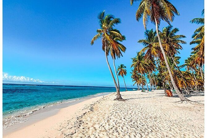 SAONA ISLAND - Rhythm, Rum & Radiant Beaches - PUNTA CANA - The Itinerary in Detail: What You Can Expect