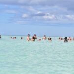 Saona Island Shared Jet Boating and Swimming Adventure - Who Is This Tour Best For?