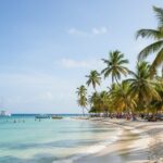 Saona Island Small Group Full Day Tour Whit Lunch and Drinks - Final Thoughts