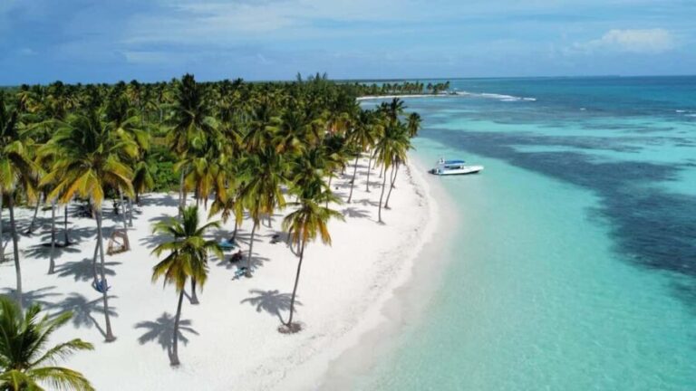 Saona Island: Small Group Virgin Beaches Cruise Day Trip - Why This Tour Offers Good Value