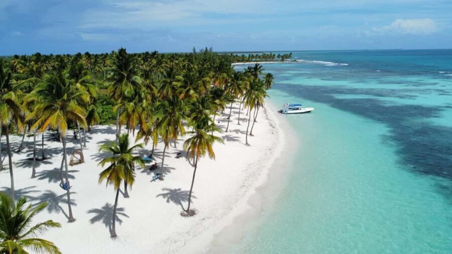 Saona Island: Small Group Virgin Beaches Cruise Day Trip - Why This Tour Offers Good Value