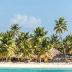 Saona Island Speedboat and Catamaran Cruise and Buffet Lunch - The Itinerary: A Detailed Look at the Day