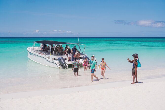 Saona Island Summer - In-Depth Look at the Saona Island Summer Tour