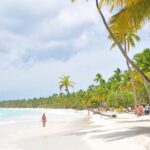 Saona Island Tour - Final Thoughts: Who Is This Tour Best For?