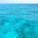 Saona Island Tour From Punta Cana - Exploring the Full Itinerary