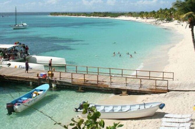 Saona Island Tour from Punta Cana with Lunch, Open Bar & Pickup - Who Should Consider This Tour?