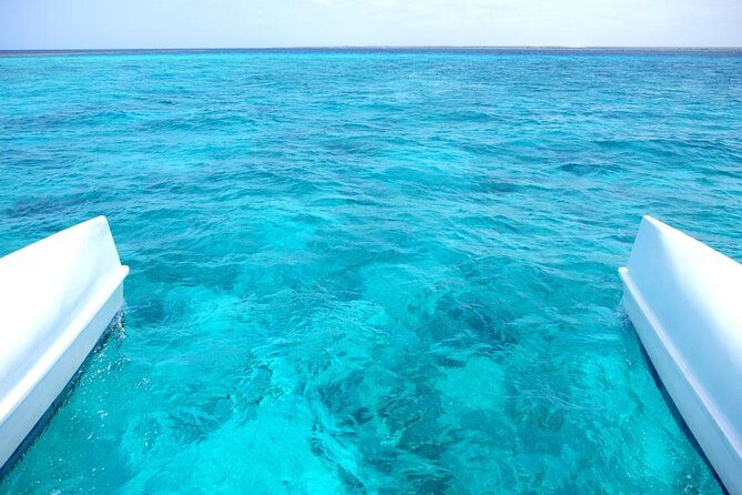 Saona Island Tour From Punta Cana - Exploring the Full Itinerary