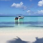 Saona Island Tour from Santo Domingo with Lunch - The Practical Details