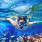 Saona Island Tour From Santo Domingo with Lunch, Open Bar, Pickup - What’s Included and What’s Not