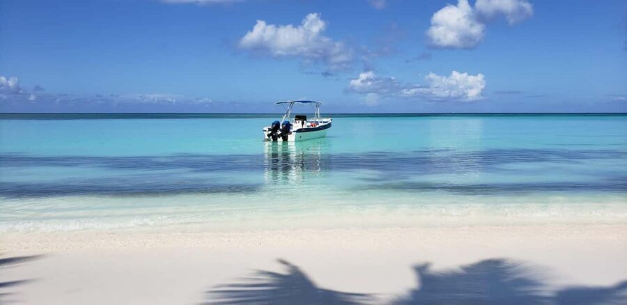 Saona Island Tour from Santo Domingo with Lunch - The Practical Details